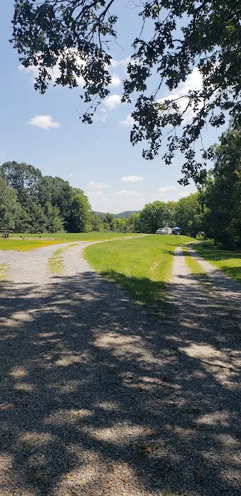 Cravens Bay Self-Service Campground & Boat Ramp Picture 9