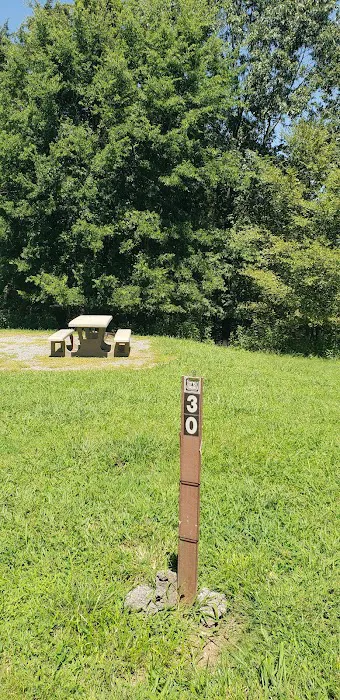 Cravens Bay Self-Service Campground & Boat Ramp Picture 3