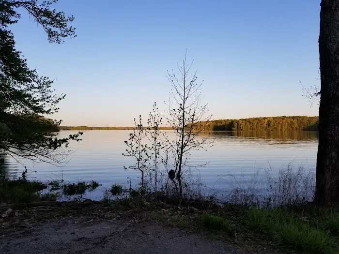 Cravens Bay Self-Service Campground & Boat Ramp Picture 10