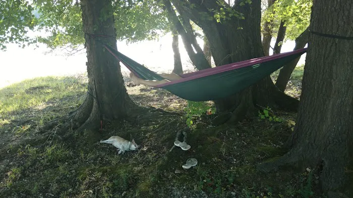 Cravens Bay Self-Service Campground & Boat Ramp Picture 4