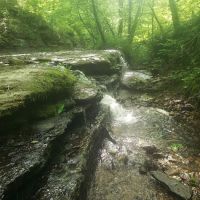 Whispering Oaks Retreat and Campground ico