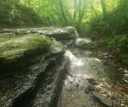 Whispering Oaks Retreat and Campground