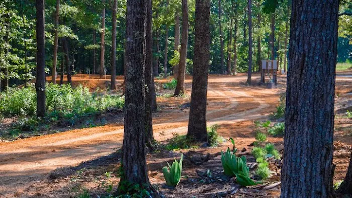 Swiss Haven RV Campground Picture 5