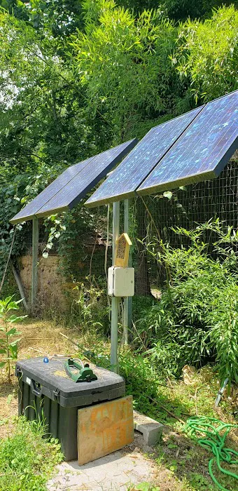 Hoot Owl Hollow on The Farm Picture 4