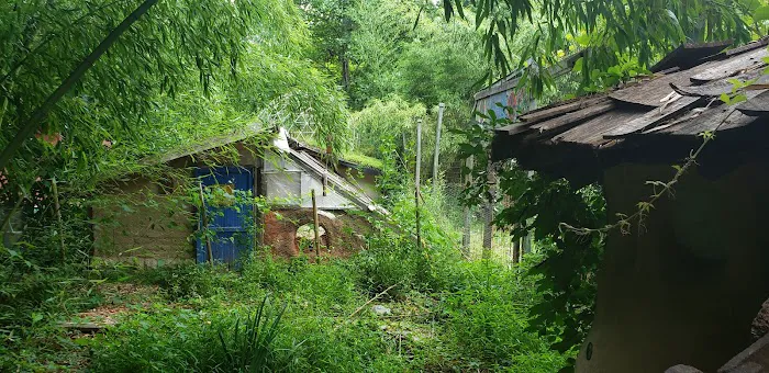 Hoot Owl Hollow on The Farm Picture 5