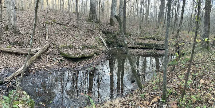 Hoot Owl Hollow on The Farm Picture 10