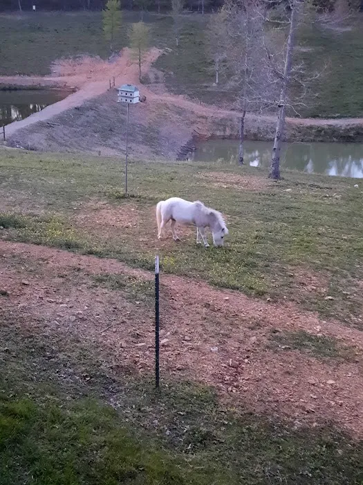 Pop a Top Ridge Picture 3