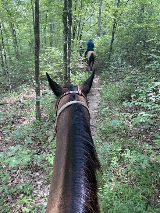 Laurel Hill Trail and Camp Picture 1
