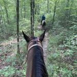 Laurel Hill Trail and Camp