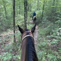 Laurel Hill Trail and Camp ico