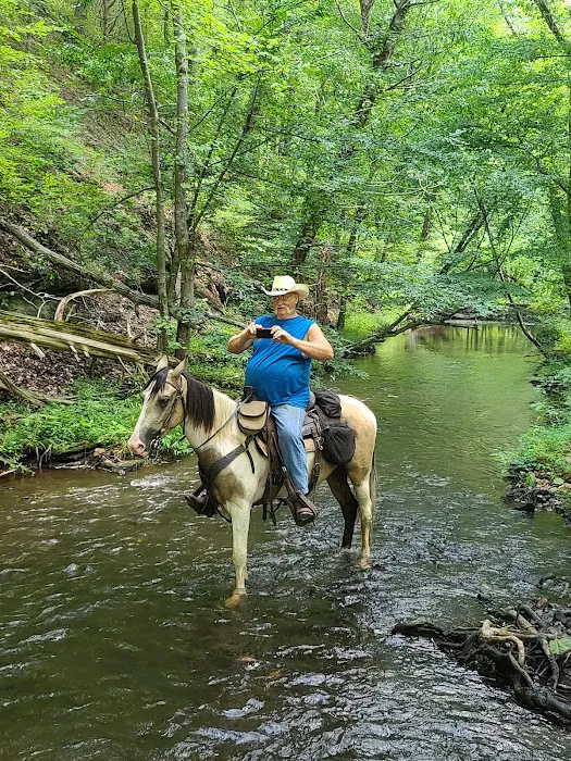 Laurel Hill Trail and Camp Picture 6