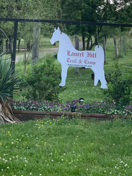 Laurel Hill Trail and Camp Picture 8