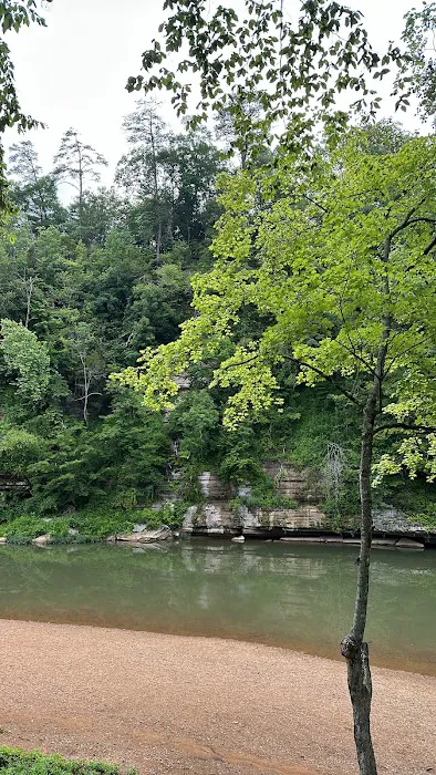 Seven Pines River Resort Picture 4