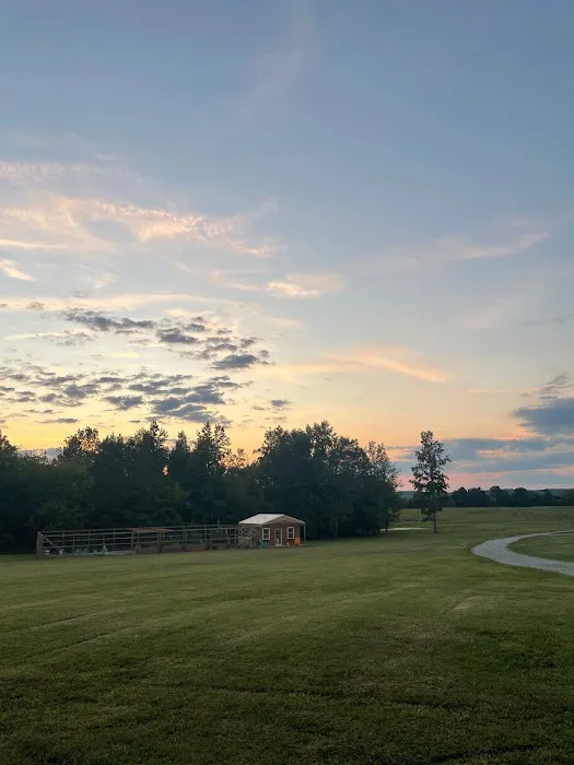 Seven Pines River Resort Picture 6