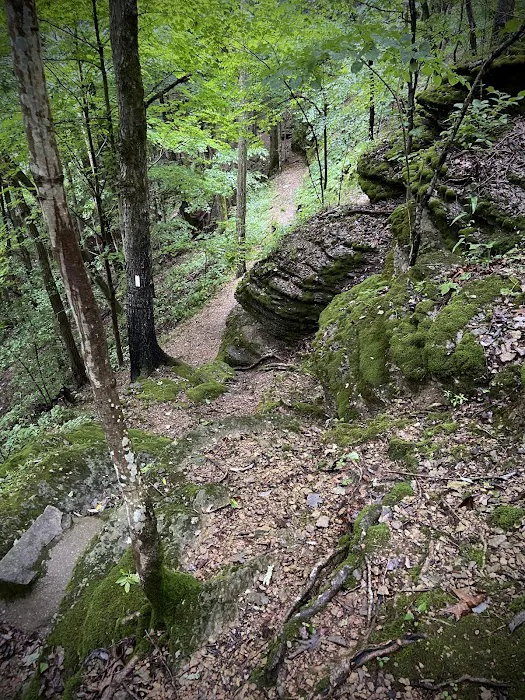 Historic Southport Saltpeter Cave Picture 1