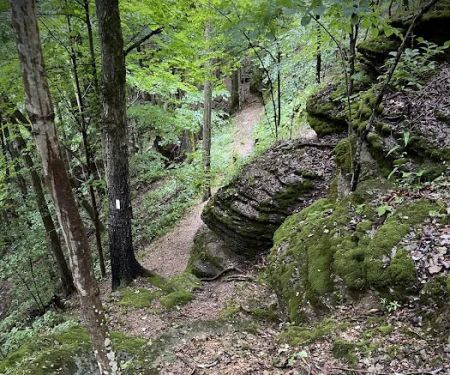 Historic Southport Saltpeter Cave