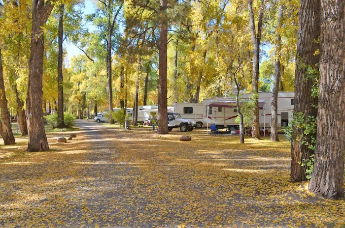 SongBird Campground Picture 6