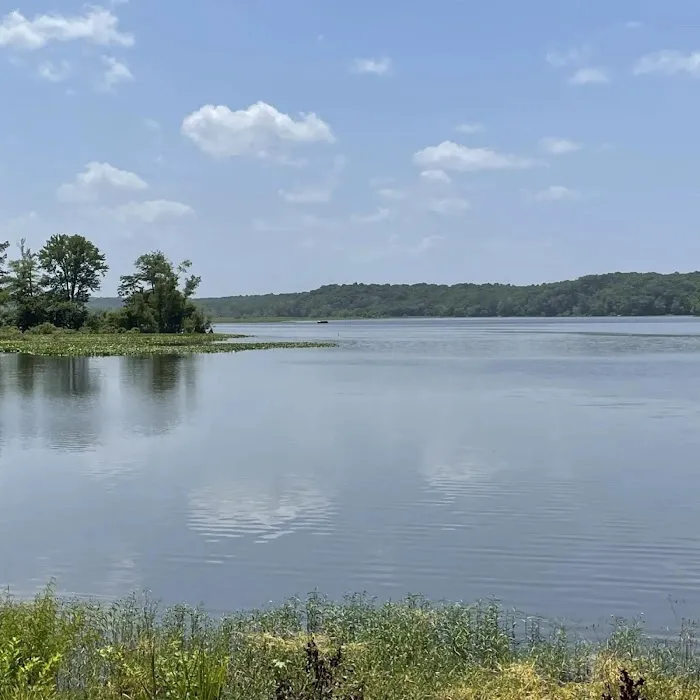 SongBird Campground Picture 7
