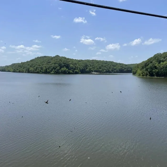 SongBird Campground Picture 10