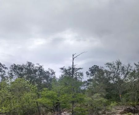 Traders Hill Campground