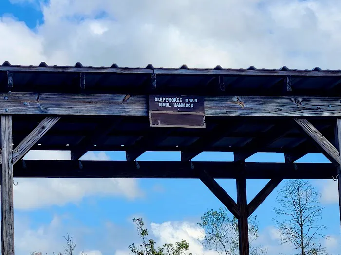 Maul Hammock Canoe Shelter Picture 7