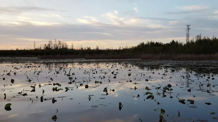 Maul Hammock Canoe Shelter Picture 10