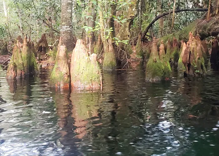 Floyds Island Cabin Picture 3