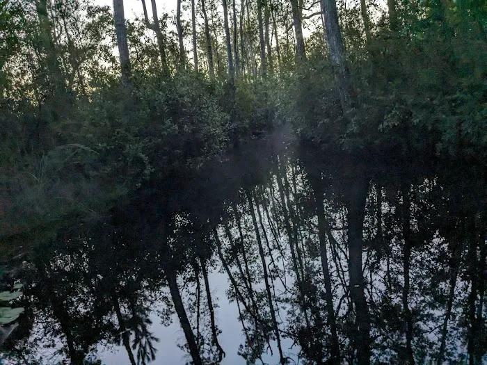 Floyds Island Cabin Picture 9