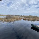 Cedar Hammock Canoe Shelter
