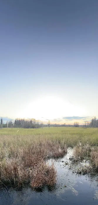 Cedar Hammock Canoe Shelter Picture 2