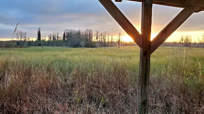 Cedar Hammock Canoe Shelter Picture 7