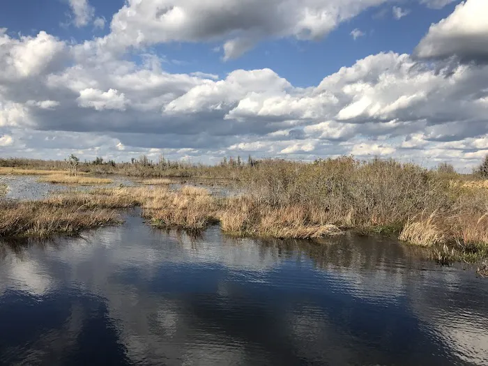 Cedar Hammock Canoe Shelter Picture 4
