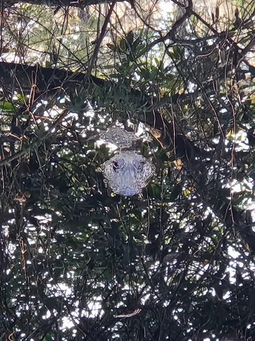 Canal run campsite Picture 8