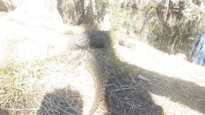 Coffee Bay Day Use Canoe Shelter Picture 2