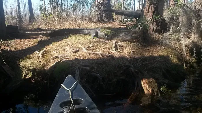 Coffee Bay Day Use Canoe Shelter Picture 3