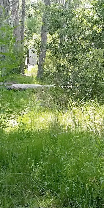 Coffee Bay Day Use Canoe Shelter Picture 7