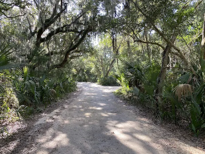Little Talbot Island Campgrounds Picture 2