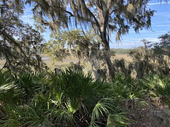 Little Talbot Island Campgrounds Picture 1