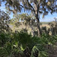 Little Talbot Island Campgrounds ico