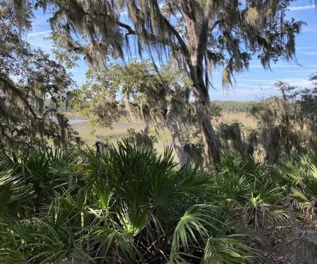 Little Talbot Island Campgrounds