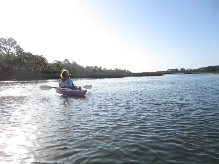 Little Talbot Island Campgrounds Picture 9