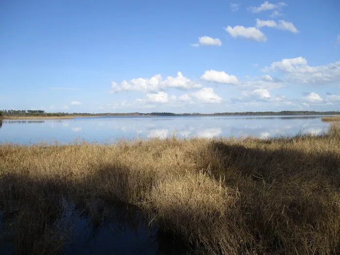 Little Talbot Island Campgrounds Picture 8
