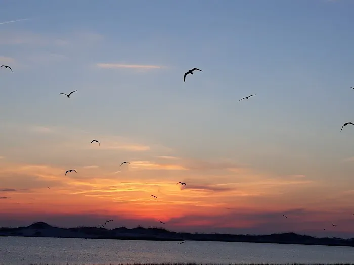 Huguenot Campground Picture 9