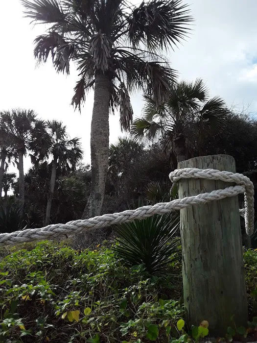 Hanna Park Campground Picture 8