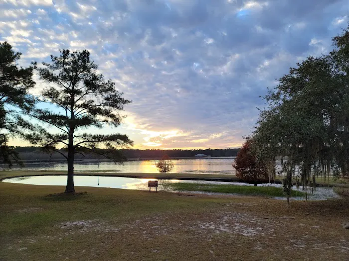 Reed Bingham State Park - Campground Picture 2