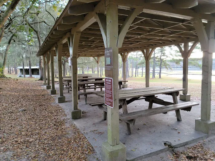 Reed Bingham State Park - Campground Picture 4