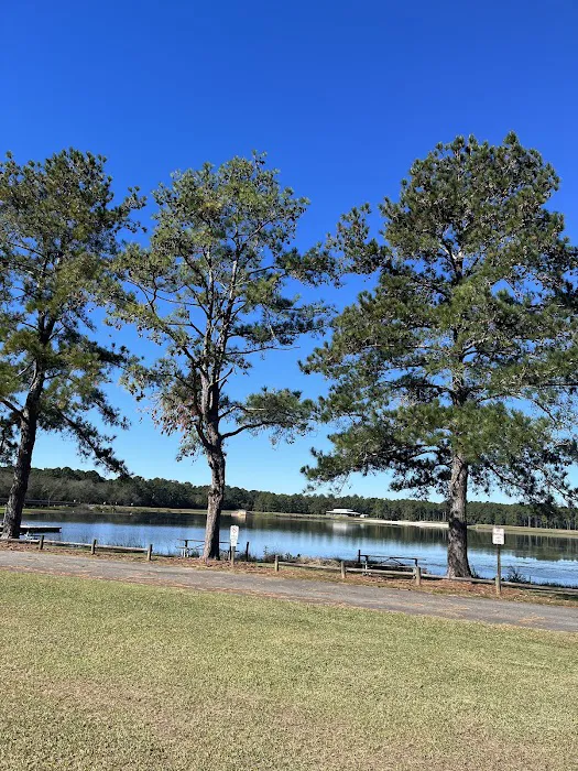 Reed Bingham State Park - Campground Picture 5