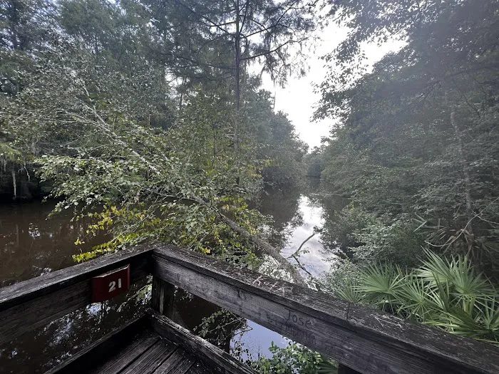 Reed Bingham State Park - Campground Picture 6