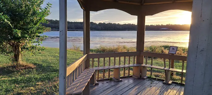 Reed Bingham State Park - Campground Picture 1