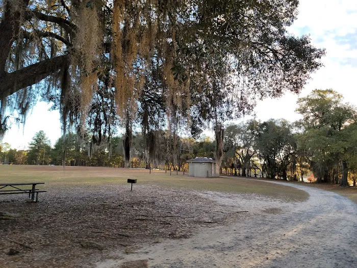 Reed Bingham State Park - Campground Picture 3